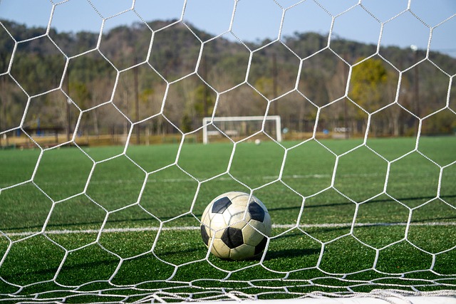 不僅是一種 不僅是一種