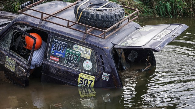 在这两个区 在这两个区