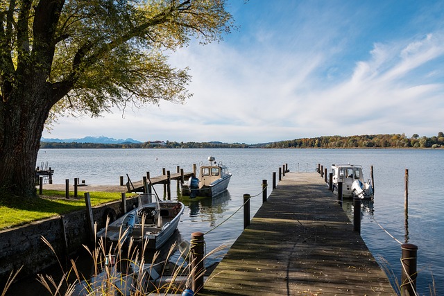 用稳定的控 用稳定的控