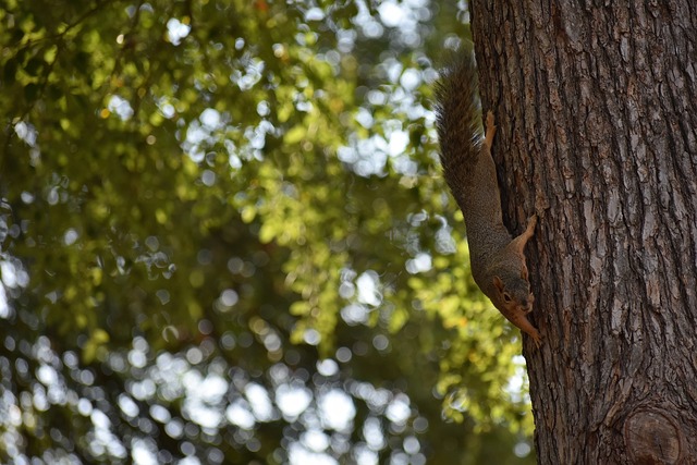 因外界压力 因外界压力