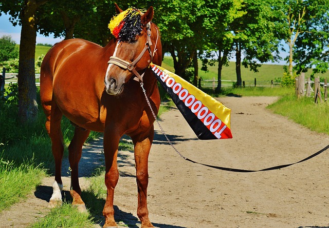 的比赛中 的比赛中