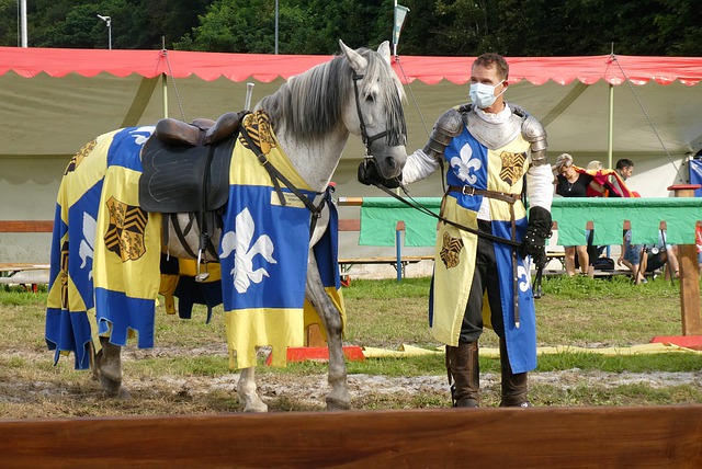 的长期成功 的长期成功